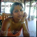 Breeding horny women